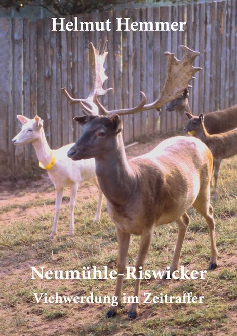 Helmut Hemmer: Neumühle-Riswicker, Buch