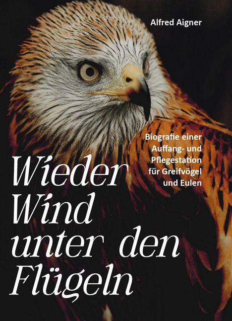 Text: "Wieder Wind unter den Flügeln" von Alfred Aigner. Bild eines prächtigen Greifvogels mit scharfem Blick.