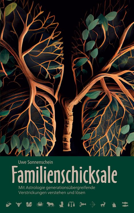 Uwe Sonnenschein: Familienschicksale, Buch