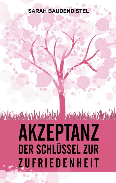 Sarah Baudendistel: Akzeptanz, der Schlüssel zur Zufriedenheit, Buch