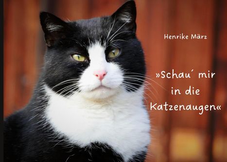 Henrike März: Schau´ mir in die Katzenaugen, Buch