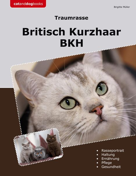 Brigitte Müller: Traumrasse Britisch Kurzhaar, Buch