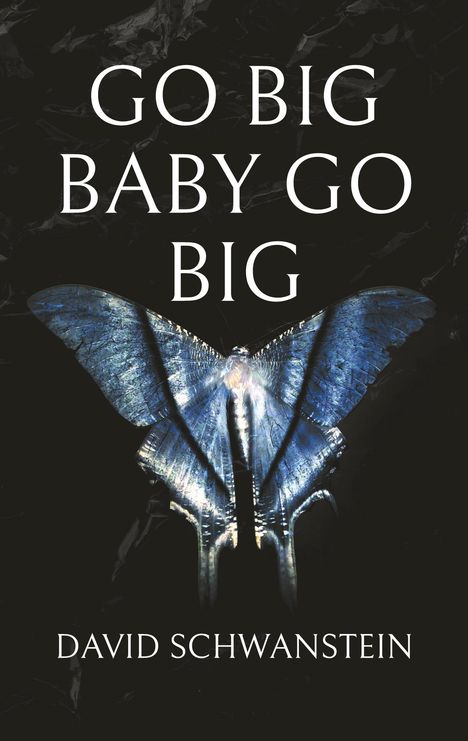 David Schwanstein: Go big baby go big, Buch
