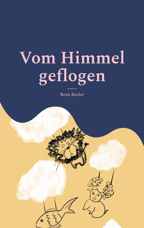 Rosa Besler: Vom Himmel geflogen, Buch