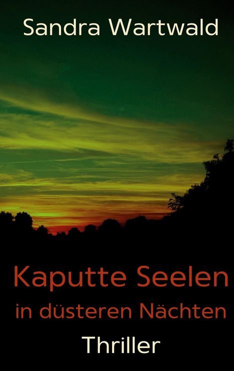 Sandra Wartwald: Kaputte Seelen in düsteren Nächten, Buch