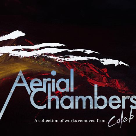 Caleb Thiessen: Aerial Chambers, Buch