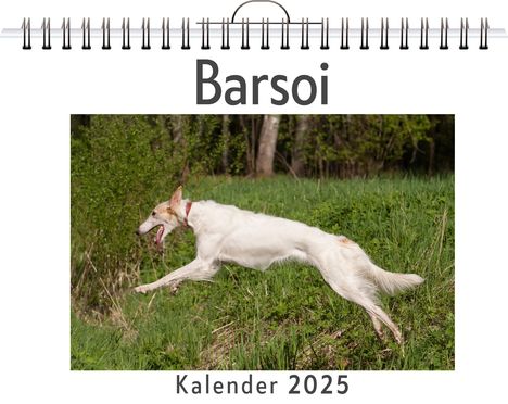 Aaron Hoffmann: Barsoi, Kalender