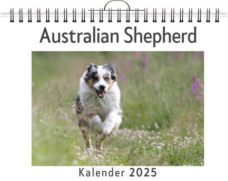 Julian Hofmann: Australian Shepherd, Kalender