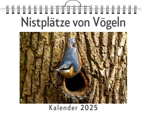 Julia Horn: Nistplätze von Vögeln, Kalender