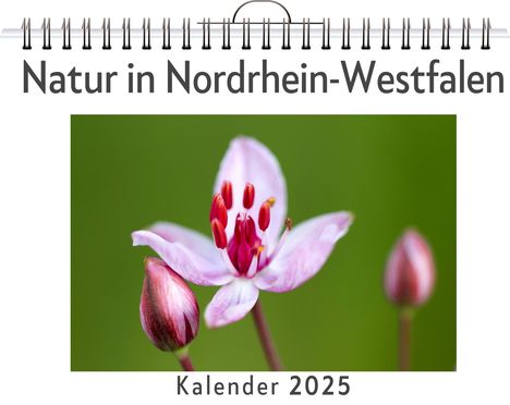 Finn Friedrich: Natur in Nordrhein-Westfalen, Kalender