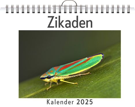 Lena Keller: Zikaden, Kalender