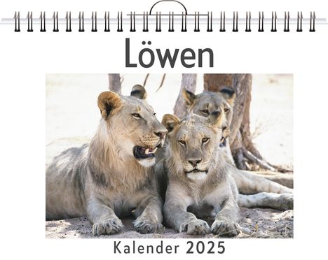 Felix Hofmann: Löwen, Kalender