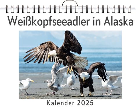 Noah Bauer: Weißkopfseeadler in Alaska, Kalender