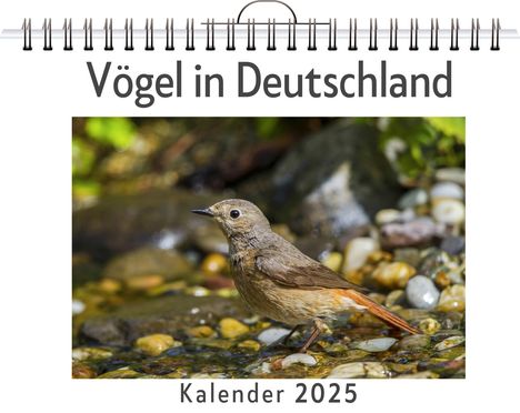 Max Vogel: Vögel in Deutschland, Kalender