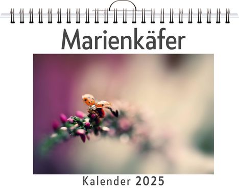 Emily Scholz: Marienkäfer, Kalender