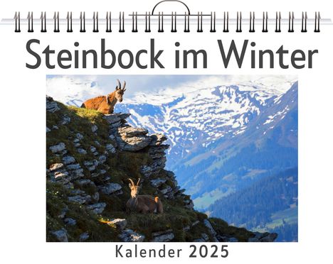 Max Schwarz: Steinbock im Winter, Kalender