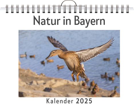 Alice Wolf: Natur in Bayern, Kalender