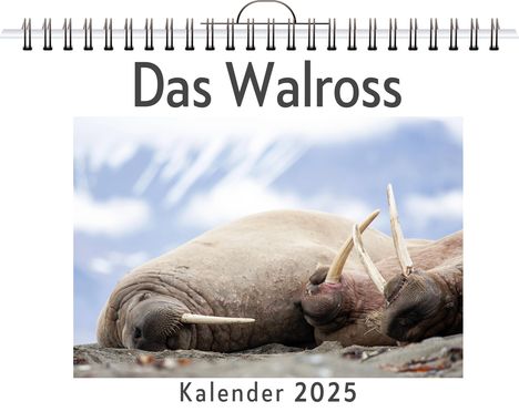 Lina König: Das Walross, Kalender