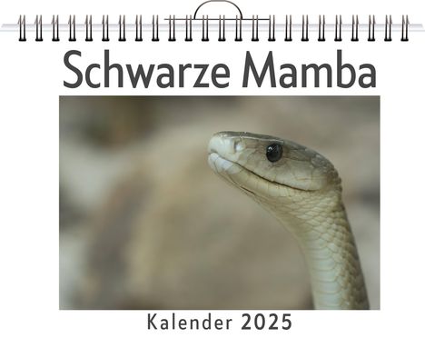 Henry Braun: Schwarze Mamba, Kalender