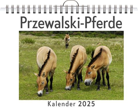 Elias Münch: Przewalski-Pferde, Kalender