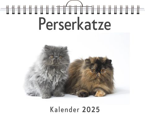 Lina Maier: Perserkatze, Kalender