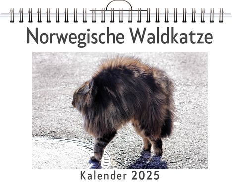 Lina Schröder: Norwegische Waldkatze, Kalender