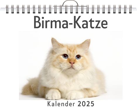 Marie Schröder: Birma-Katze, Kalender