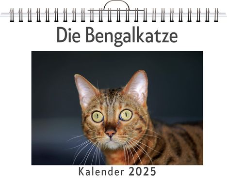 Hannah Meyer: Die Bengalkatze, Kalender