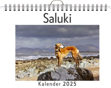 Zoe Peters: Saluki, Kalender