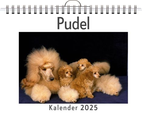 Matteo Möller: Pudel, Kalender