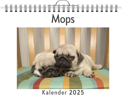 Anton König: Mops, Kalender