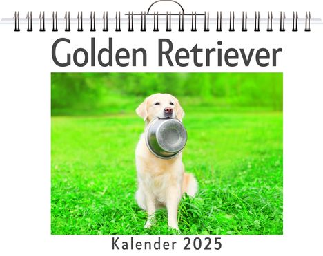 David Scholz: Golden Retriever, Kalender