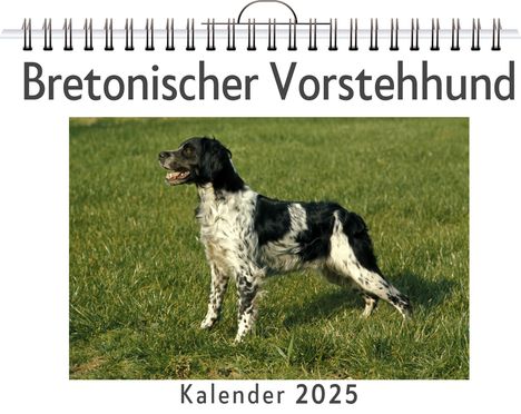 Jakob Herrmann: Bretonischer Vorstehhund, Kalender