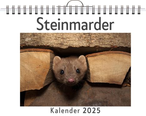 Jonah Schulz: Steinmarder, Kalender