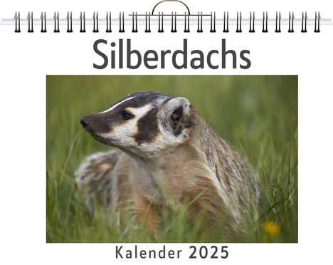 Sarah Lange: Silberdachs, Kalender