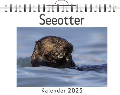 Jonas Hofmann: Seeotter, Kalender