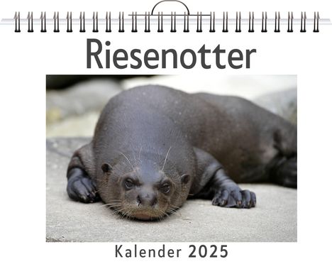 Alice Fuchs: Riesenotter, Kalender