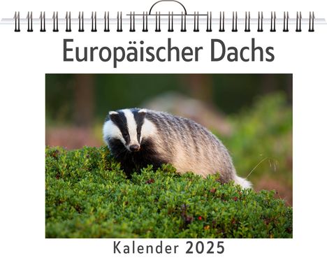 Florian Keller: Europäischer Dachs, Kalender