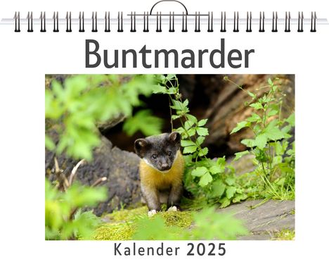 Lina Schmitt: Buntmarder, Kalender