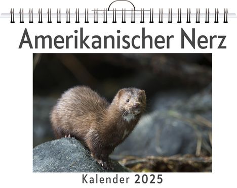 Tim Krause: Amerikanischer Nerz, Kalender