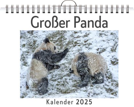 Theo Fischer: Großer Panda, Kalender