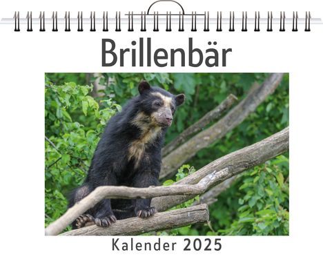 Emma Fuchs: Brillenbär, Kalender