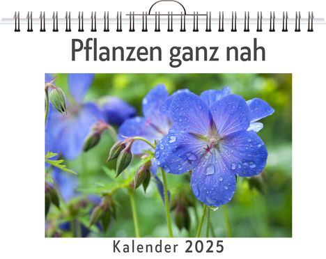 Julian König: Pflanzen ganz nah, Kalender