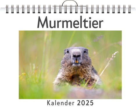 Alice Meyer: Murmeltier, Kalender