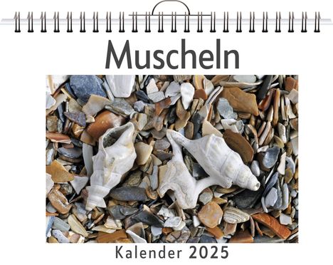 Amelia Hartmann: Muscheln, Kalender