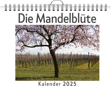 Olivia Werner: Die Mandelblüte, Kalender