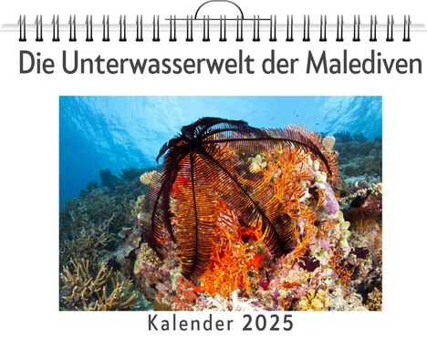 Alexander Fuchs: Die Unterwasserwelt der Malediven, Kalender