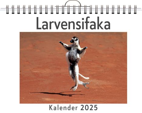 Lucas Schmitt: Larvensifaka, Kalender