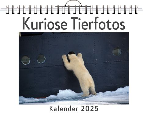 Lucas Schmitt: Kuriose Tierfotos, Kalender