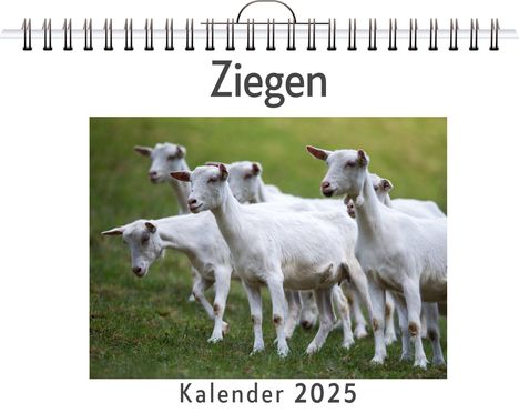 Lina Friedrich: Ziegen - (Wandkalender 2025, Kalender DIN A4 quer, Monatskalender im Querformat mit Kalendarium, das perfekte Geschenk), Kalender